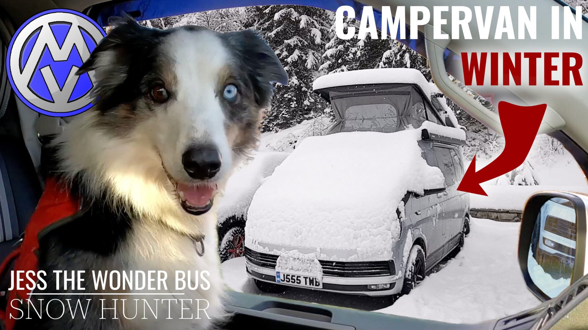 Winter Campervan | Snow Hunter | VW T6 Campervan Road Trip to the Alps with Dog